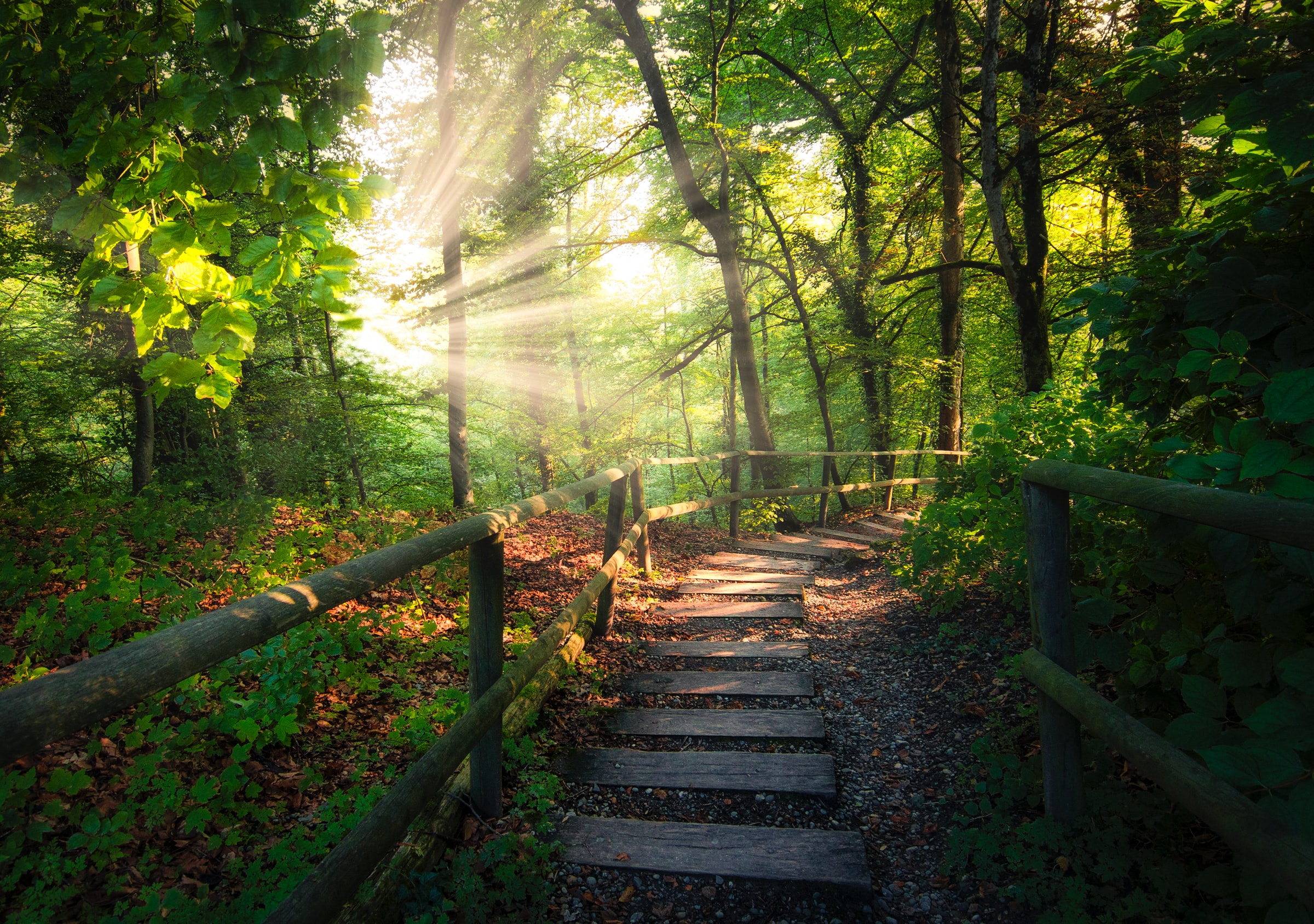 A importância da continuidade (1)